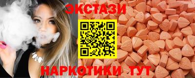 индика Можга
