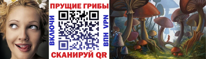 Псилоцибиновые грибы ЛСД  Нижний Новгород 
