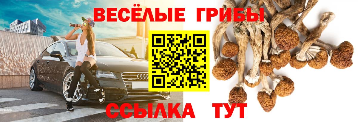 Нижний Новгород  Галлюциногенные грибы мицелий  Псилоцибиновые грибы мухоморы  Вход с VPN 